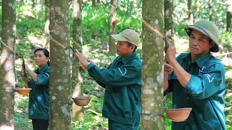http://baruco.com.vn/uploads/posts/04-02-25 cs.jpg
